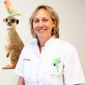 Arine Vlieger